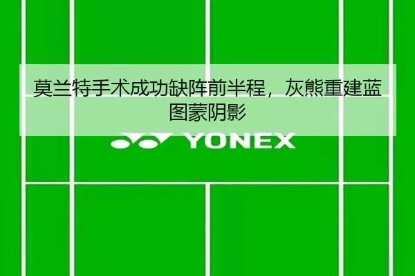 莫兰特手术成功缺阵前半程，灰熊重建蓝图蒙阴影 - yaxin